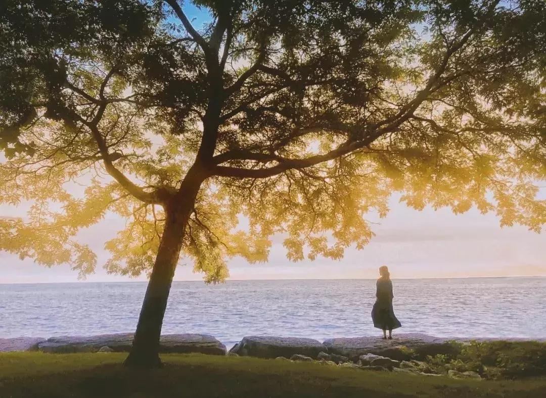 李宗盛20首经典歌,李宗盛最经典的十首歌鬼迷心窍