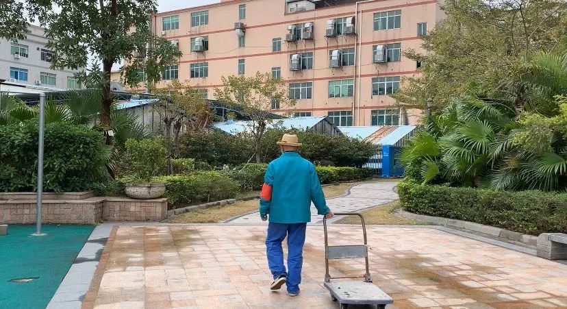 听妈妈的话杰伦即兴,杰伦听妈妈的话现场