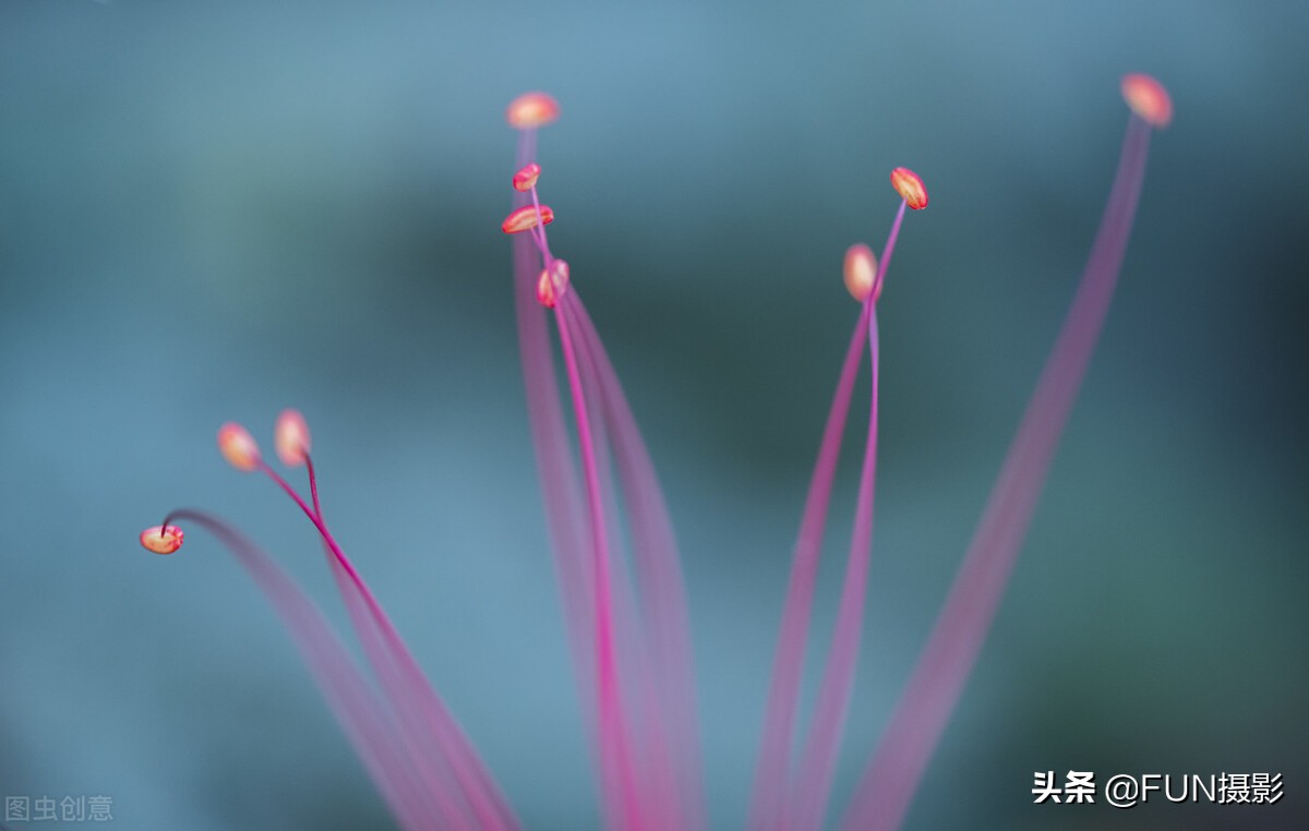 拍的照片太模糊看不清怎么办,对焦前模糊后清晰的照片怎么拍