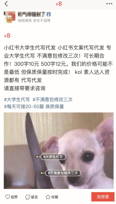 小红书代写报价,小红书软文代写代发