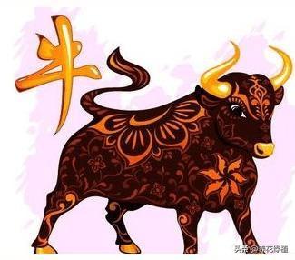 2021是辛丑年，俗语：“寡年不逢春，遇牛五谷登”，什么意思