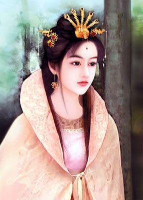 秦淮八绝诗词与简介大全集,苏先生秦淮八艳诗词