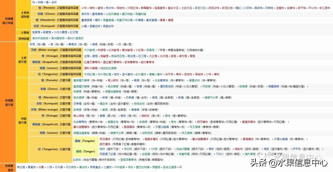 最好的橙子产地在哪里,中国橙子产地排名