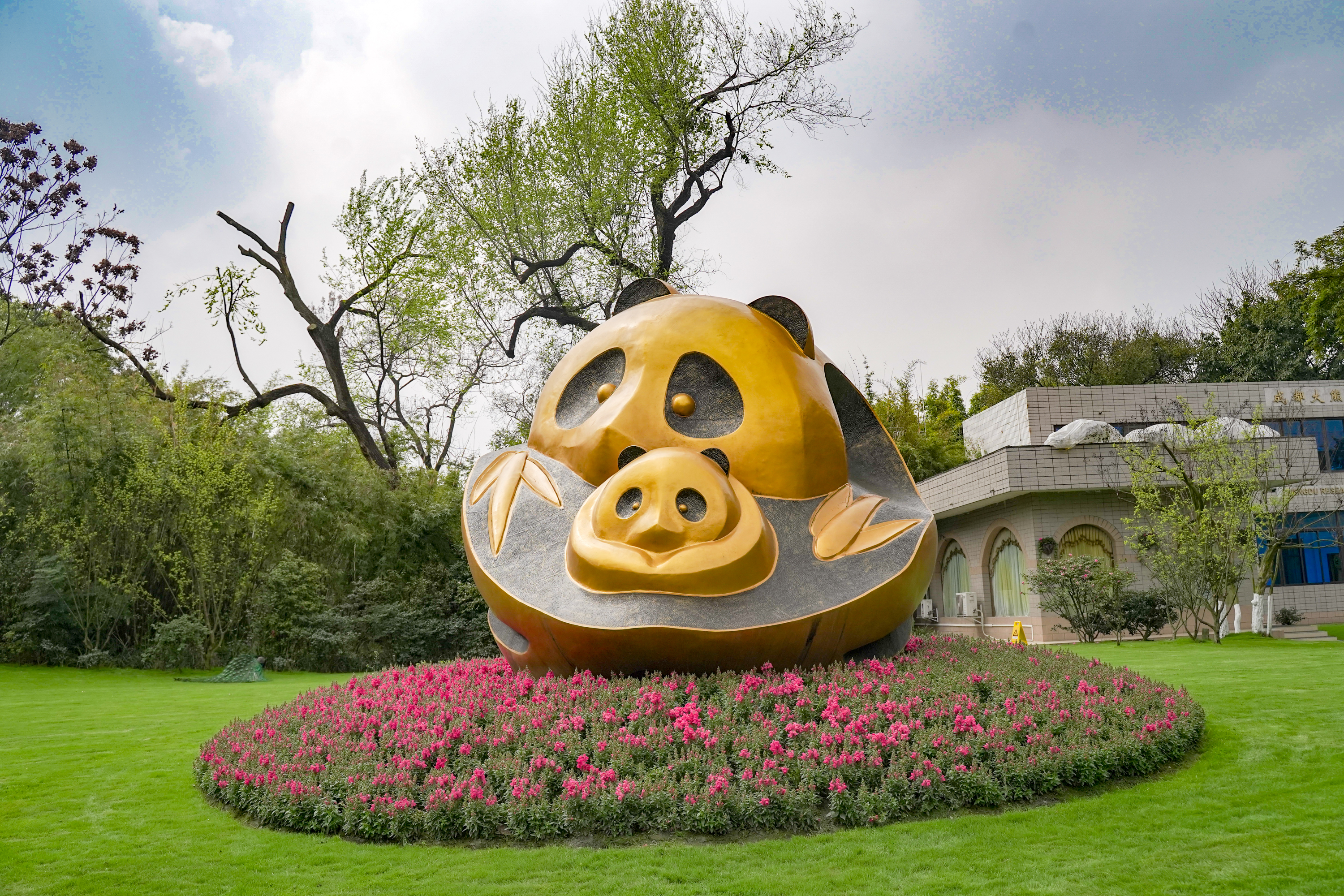 成华区大熊猫基地现在还可以去吗,成华区除了大熊猫还有什么好玩的