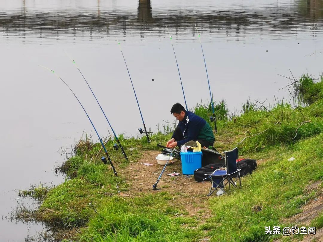 串钩怎么钓不上鱼呢,夏天抛竿串钩能钓大鱼