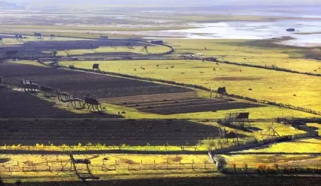 秋天最值得去的四个地方,秋天全部的风景
