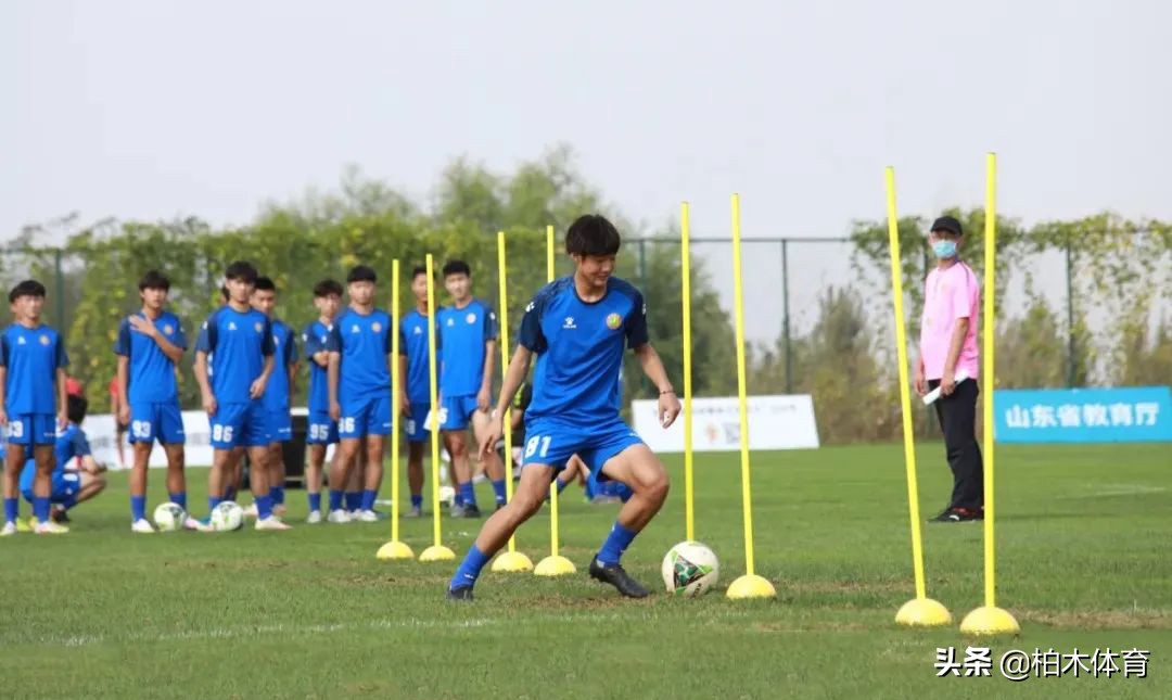 一级运动员高水平单招怎么报名,体考生要求