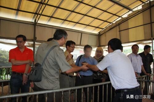 农村什么事业最赚钱,农村最赚钱的几种工作