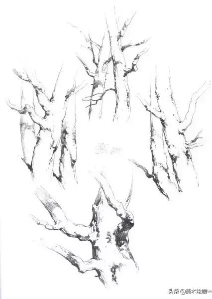 静物素描风景图临摹,简单又好画的彩铅素描风景图