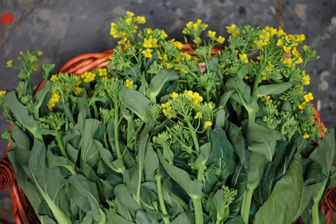 南北相济，中国580多个“菜篮子”是如何炼成的？