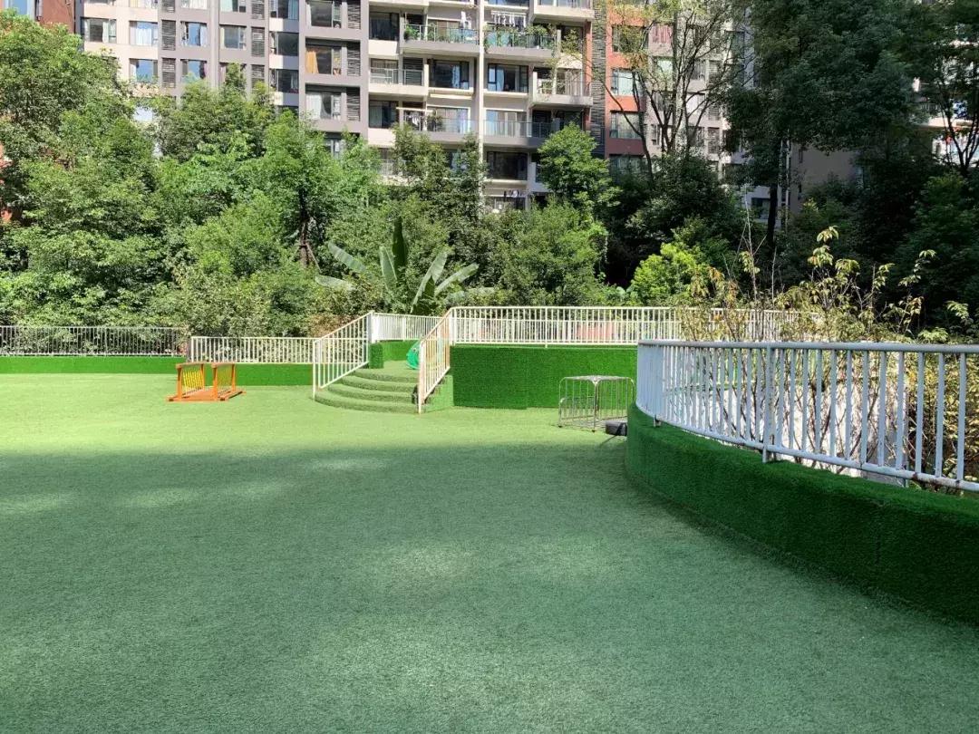 蒙氏教育幼儿园探园,参观蒙氏幼儿园的相关问题