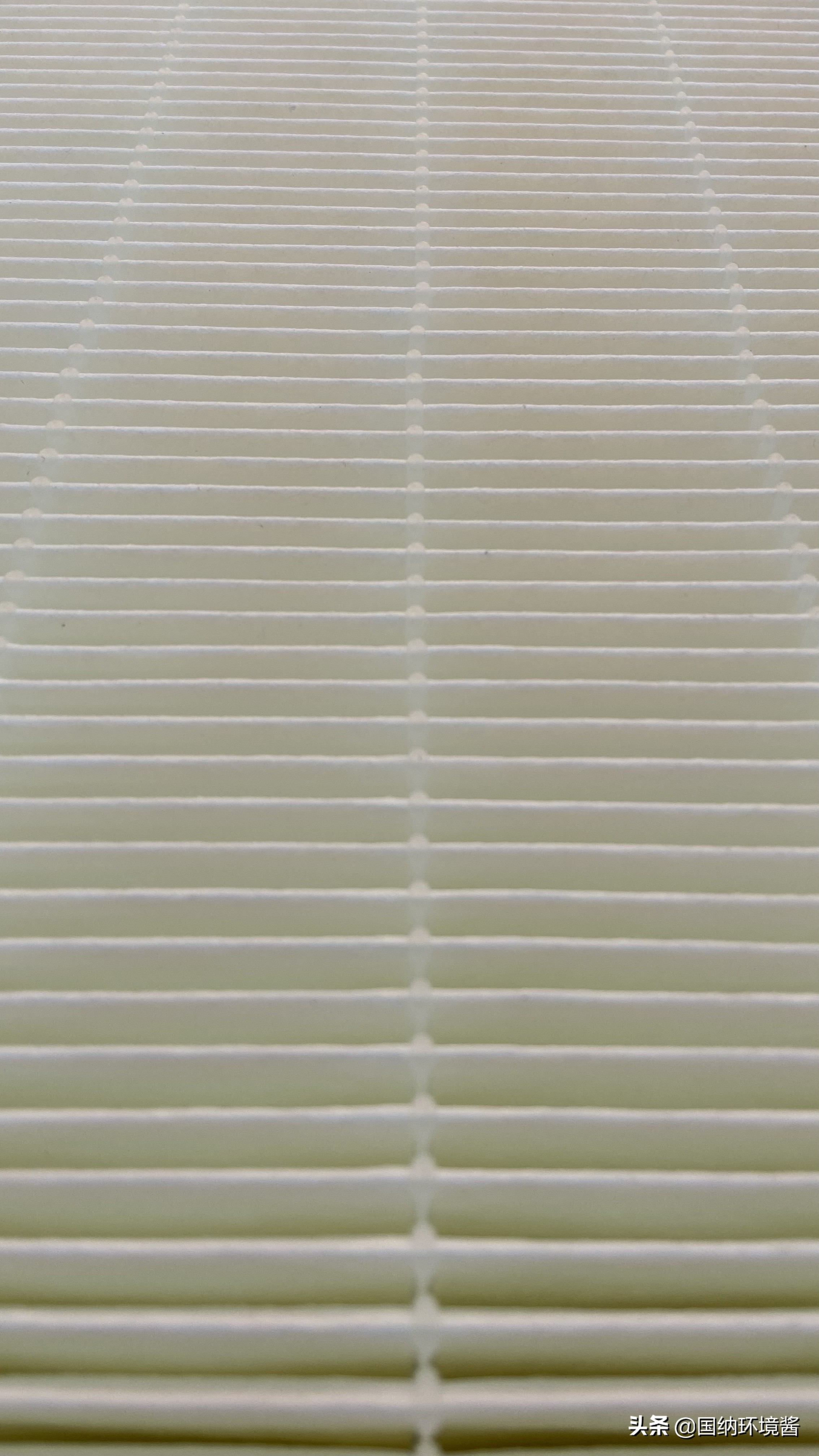 世界首创？苏州工业园区一企业石墨烯复合抗菌抗病毒滤芯横空出世