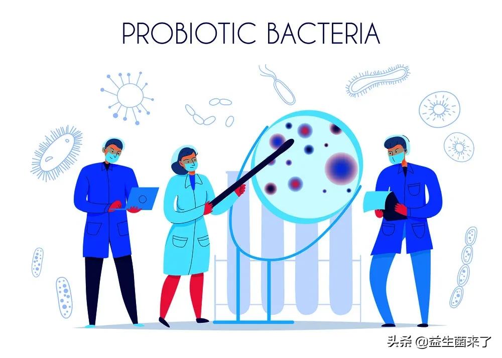 要吃多久益生菌调好肠道,腹泻吃什么益生菌效果更好