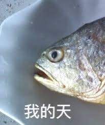 耳朵上有小洞代表着什么,耳朵上有一个小洞的人聪明吗