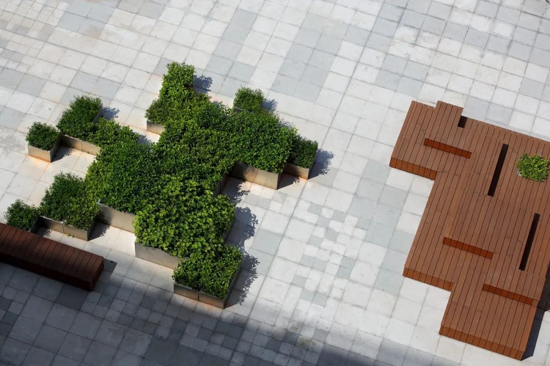 深圳坪山同心源外国语学校,深圳坪山外国语学校图片