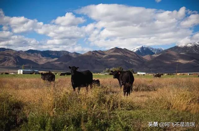 美国最适合做生意的州,美国创业最好的州