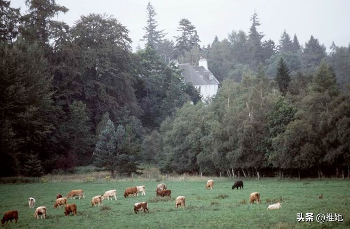 哈里王子和梅根住在哪里,哈里梅根豪宅被曝光