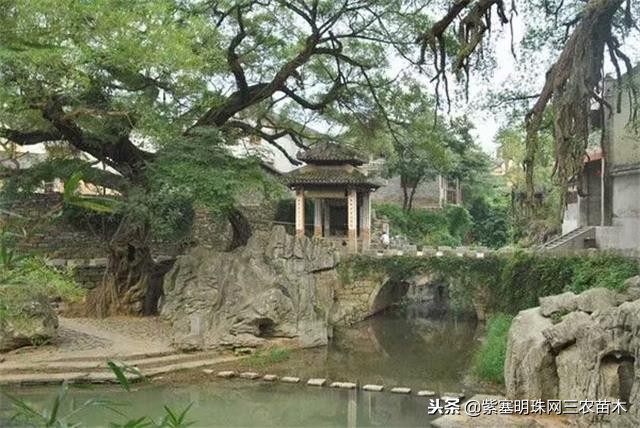 黄姚古镇大黄牛客栈团购优惠,贺州市昭平县黄姚古镇大黄牛客栈