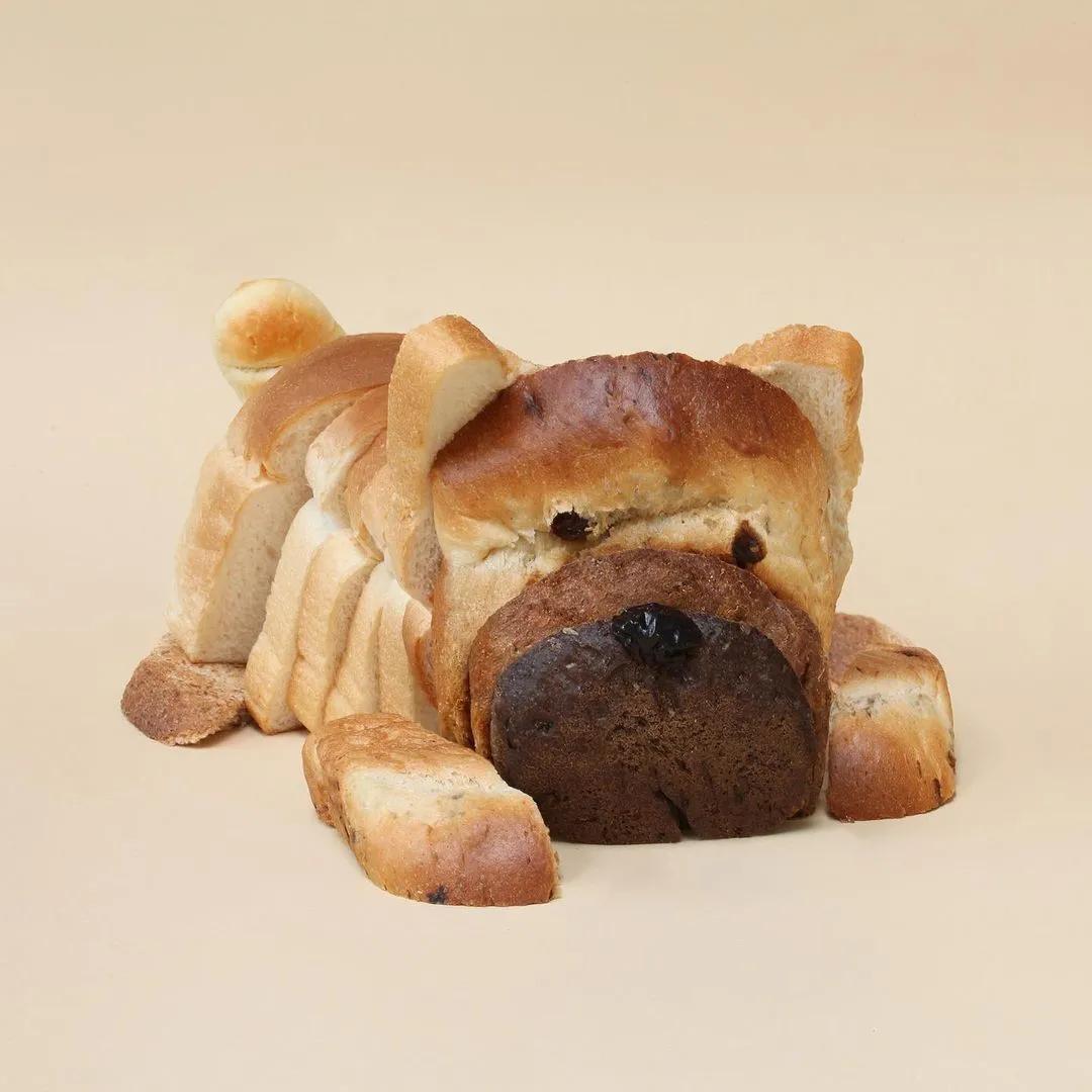 现实中还原菜狗表情包,菜狗表情包gif高清