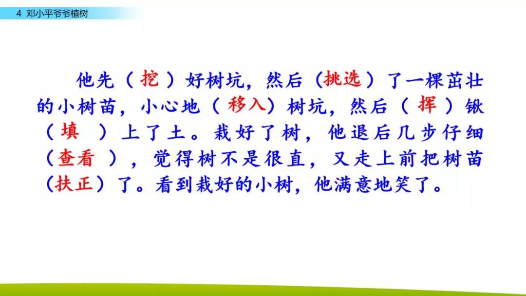 部编版二年级下册语文第4课《*小平邓**爷爷植树》知识点+图文讲解