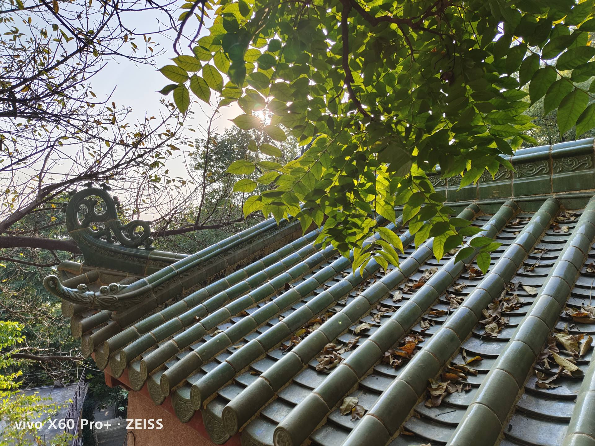 科普解密光学巨头蔡司的百年故事,蔡司光学顶级技术