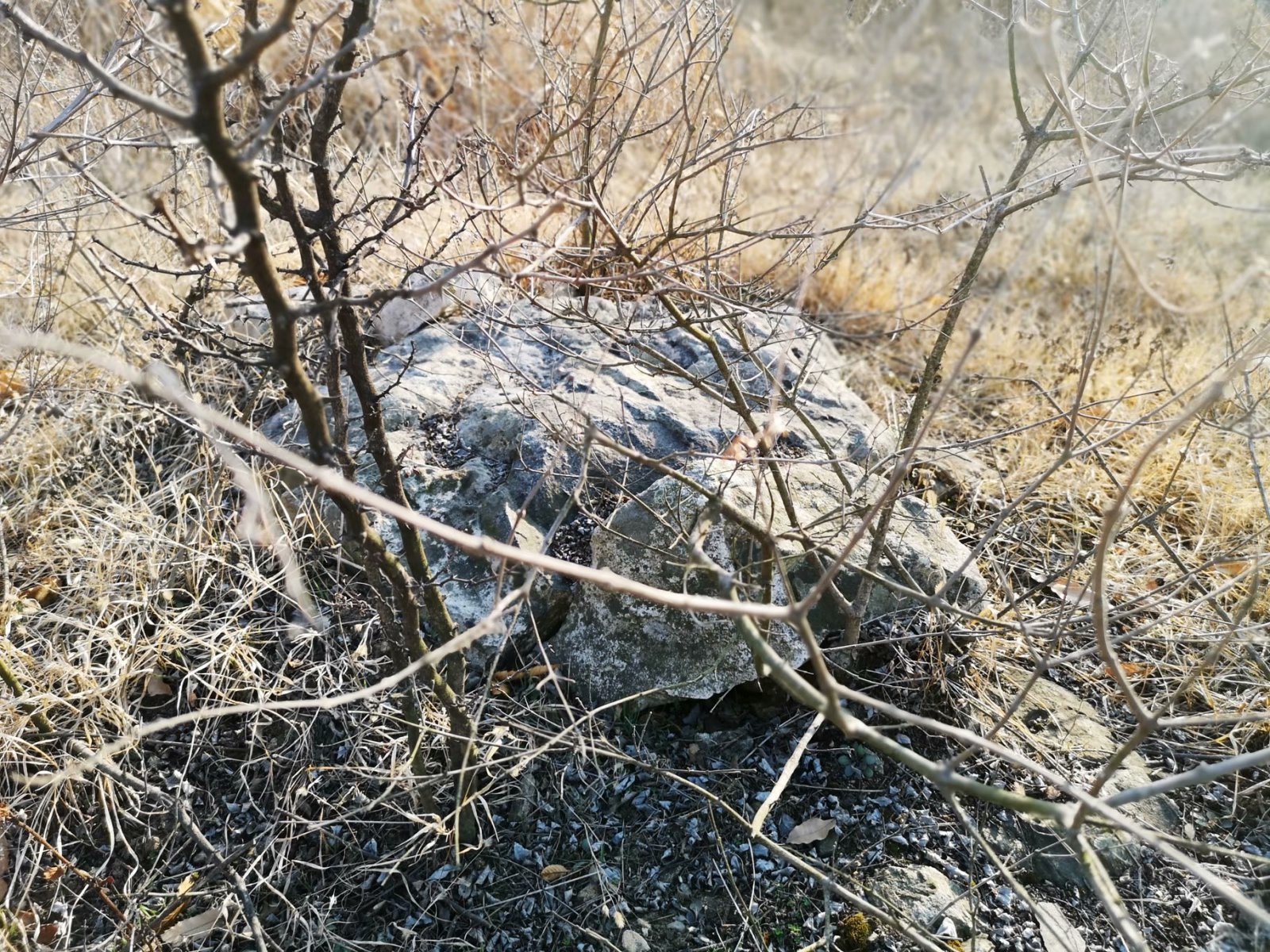 摩托周边旮旯游——探访蚌埠李楼鲁山寺遗址（上）