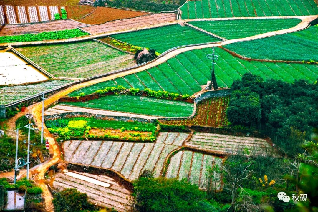 周游西南随记(六)弥蒙的万峰林