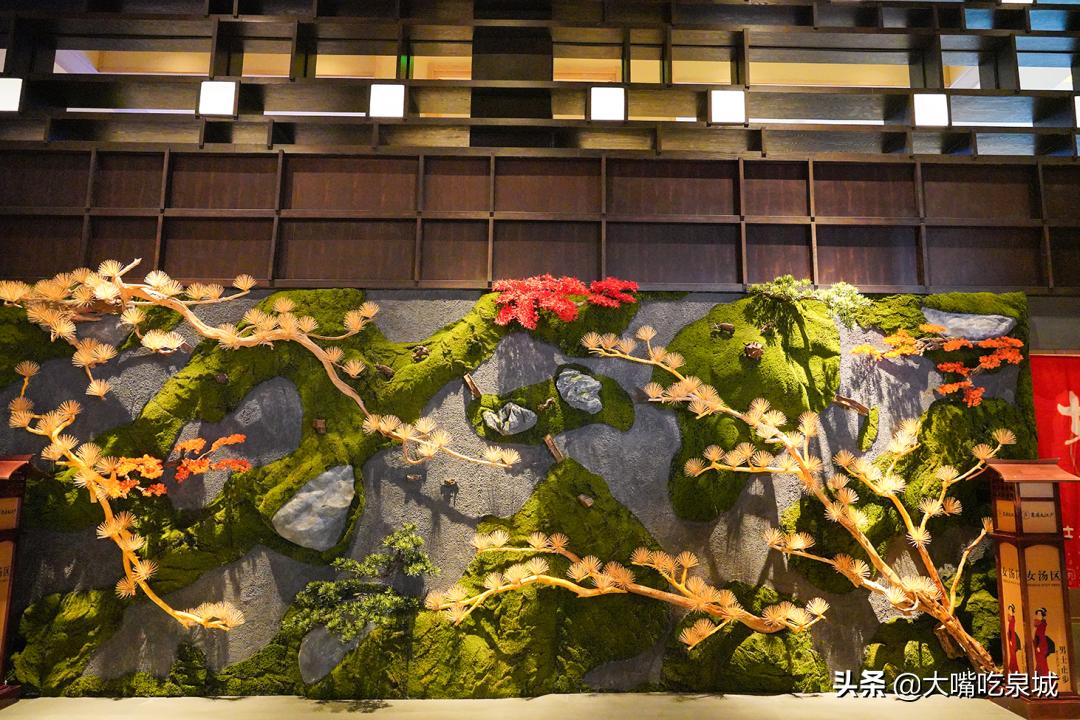 济南汤泉大江户180跟388什么区别,汤泉大江户精品私汤