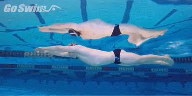 游泳教学零基础青蛙泳,蝶仰蛙正确游泳方法