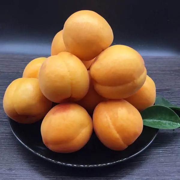 芒种种出新希望,芒种和幸福播种