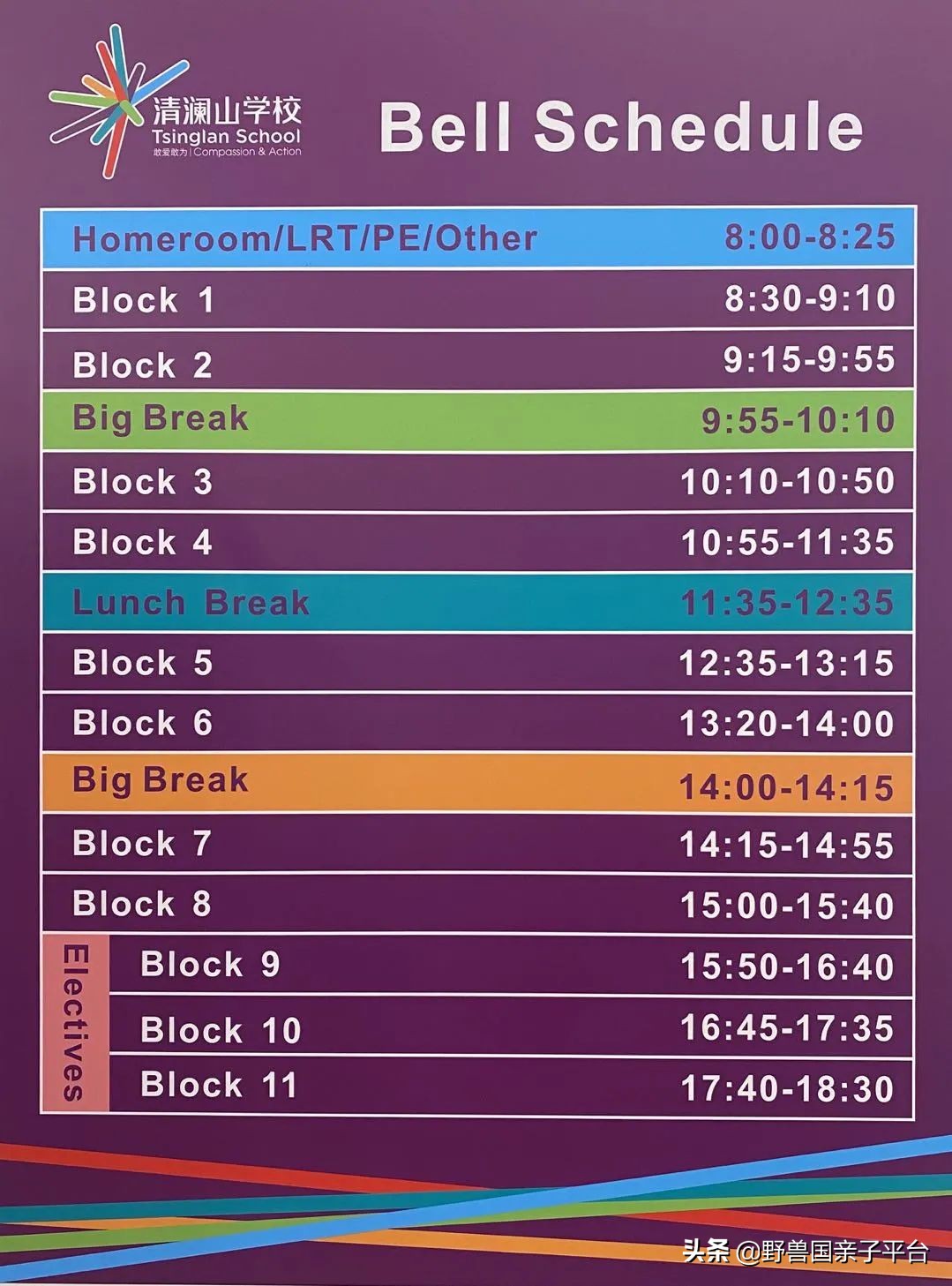 一年20万学费的清澜山学校,都在学些什么?