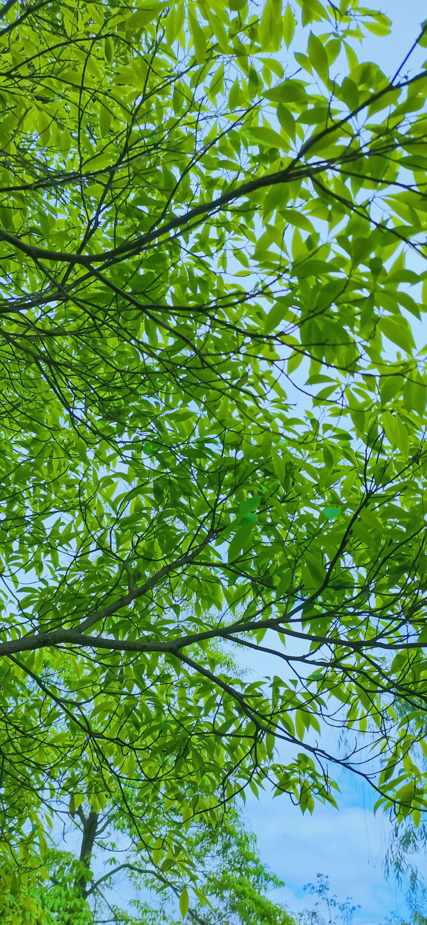 高清风景壁纸｜你静候着秋天的温柔，留我在风景之外