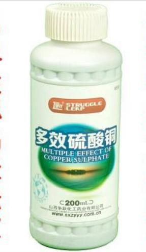 春暖花开疫情马上过去,金鱼的饲养方法及注意事项