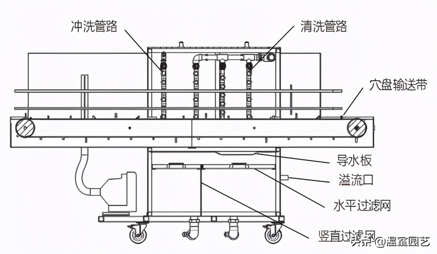 穴盘育苗烂根怎么解决,育苗穴盘处理