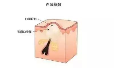 第一次买化妆品买什么品牌,日本药妆品牌有哪些