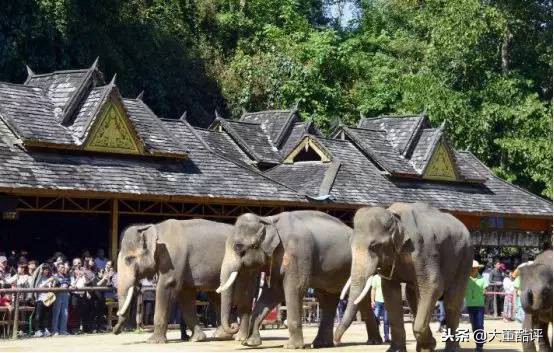 西双版纳人间仙境,西双版纳云海如人间仙境