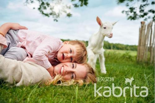 可瑞康绵羊奶粉和佳贝艾特哪个好,可瑞康羊奶好还是佳贝艾特悦白好