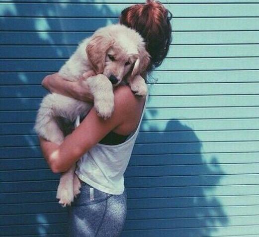 关于狗狗的10个“冷知识”，很多铲屎官都不知道