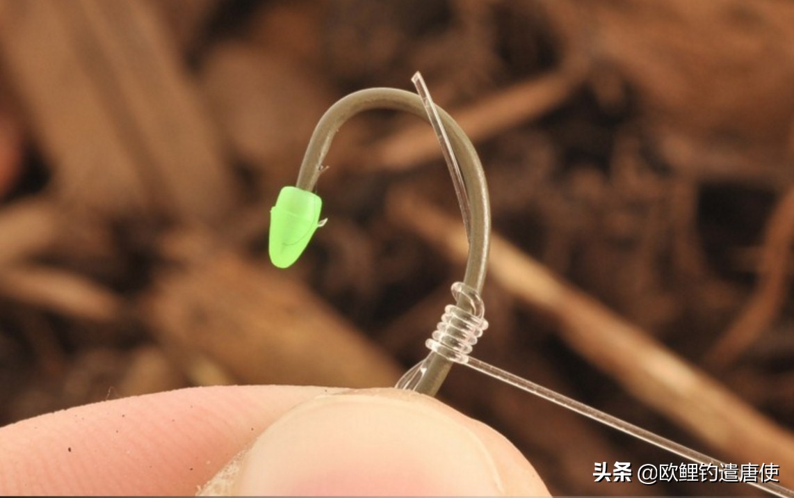 话说欧鲤钓最新消息,话说欧鲤钓鱼完整版