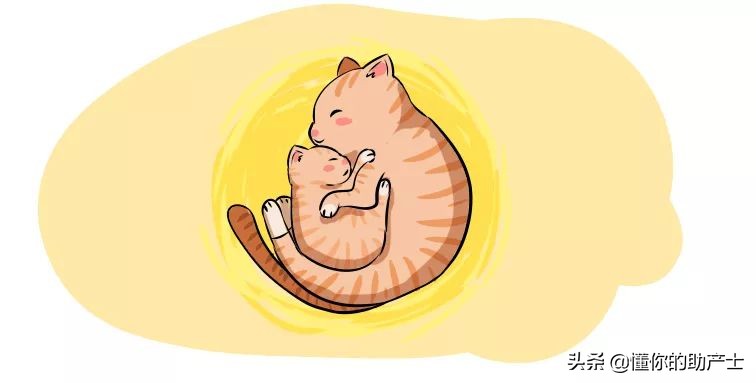 这一夜，关于如何“吃胎盘”我们探讨了很久......