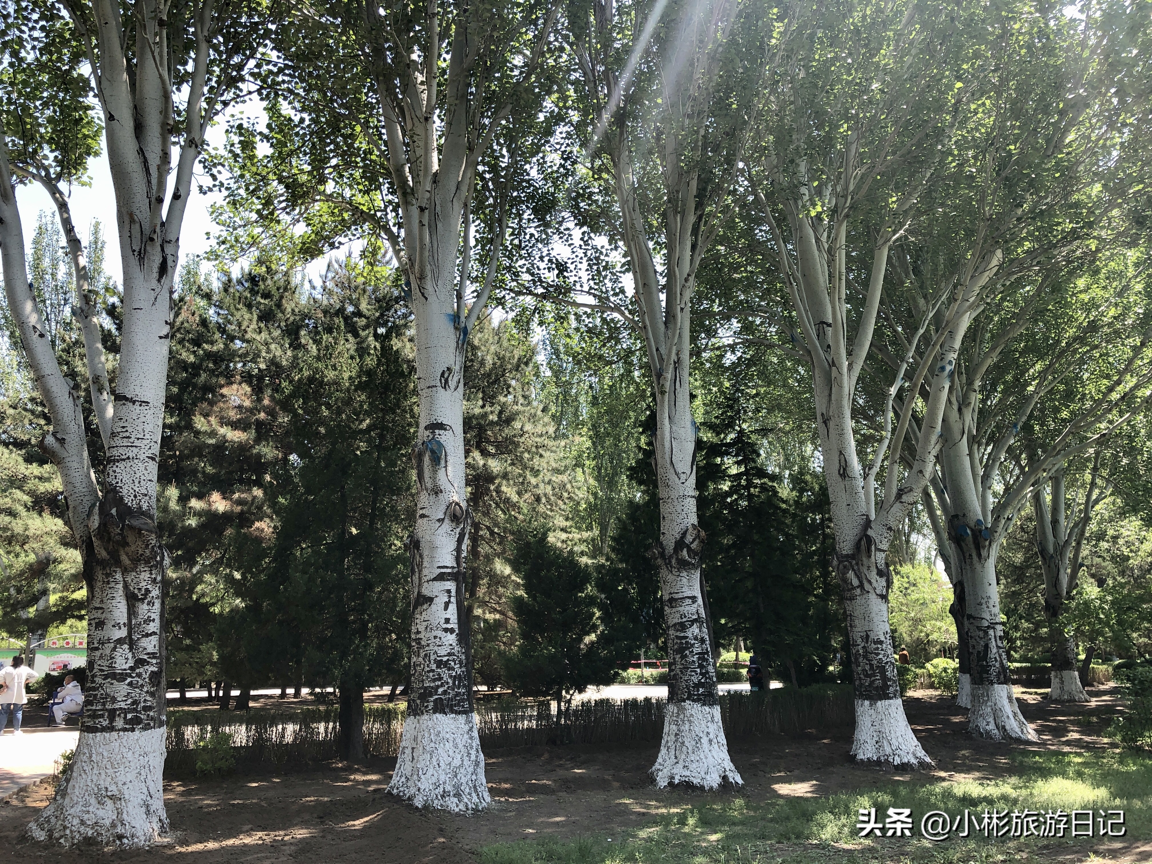 通辽休闲广场,通辽人民公园娱乐场所