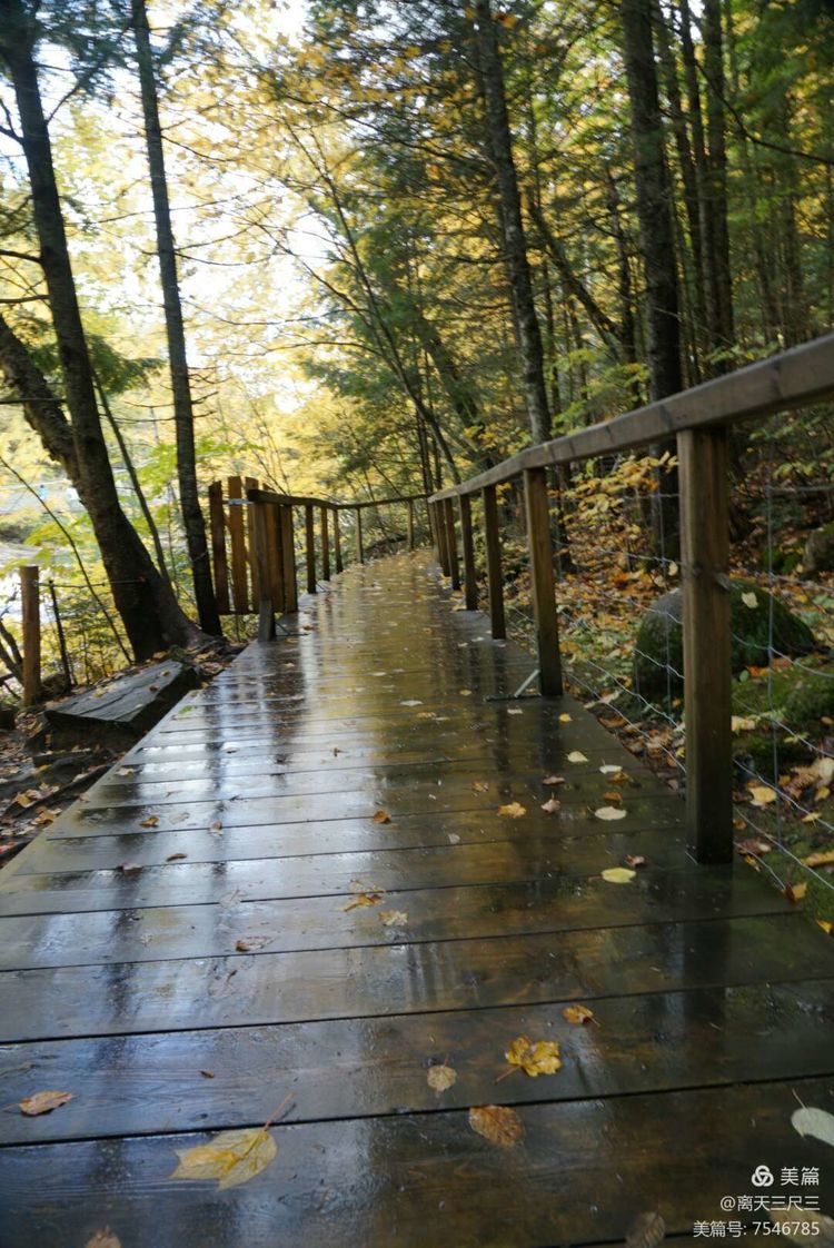 漫步魁北克体验不一样的北美风情,北美枫情蒙特利尔
