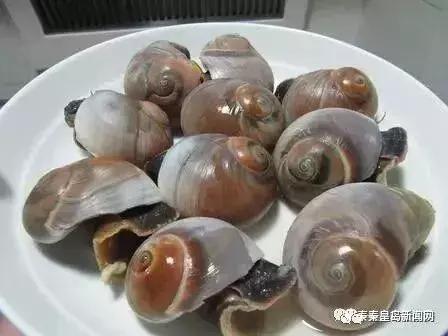 秦皇岛美食排行榜前十名海鲜,秦皇岛最好的海鲜自助餐厅排名榜