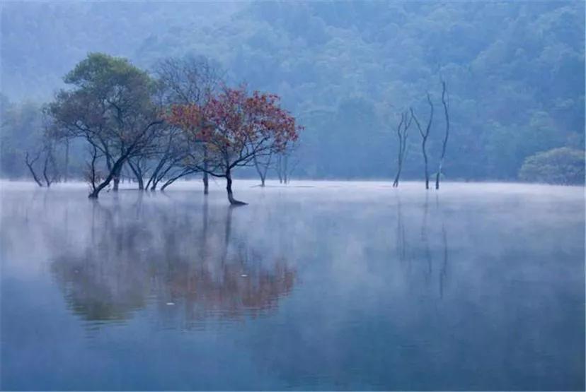宫颈癌康复期食谱大全,我得宫颈癌的经历