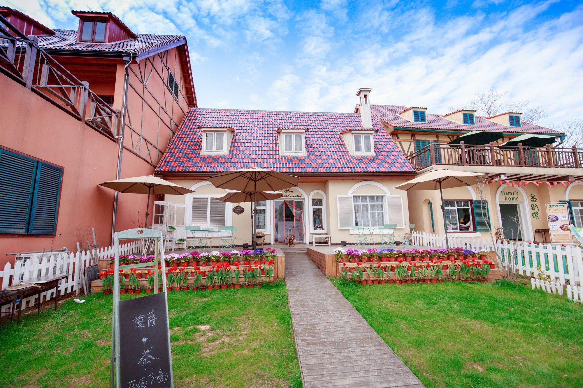 今日春分,武汉这时候不仅有樱花,这里的花随风一吹人都酥了