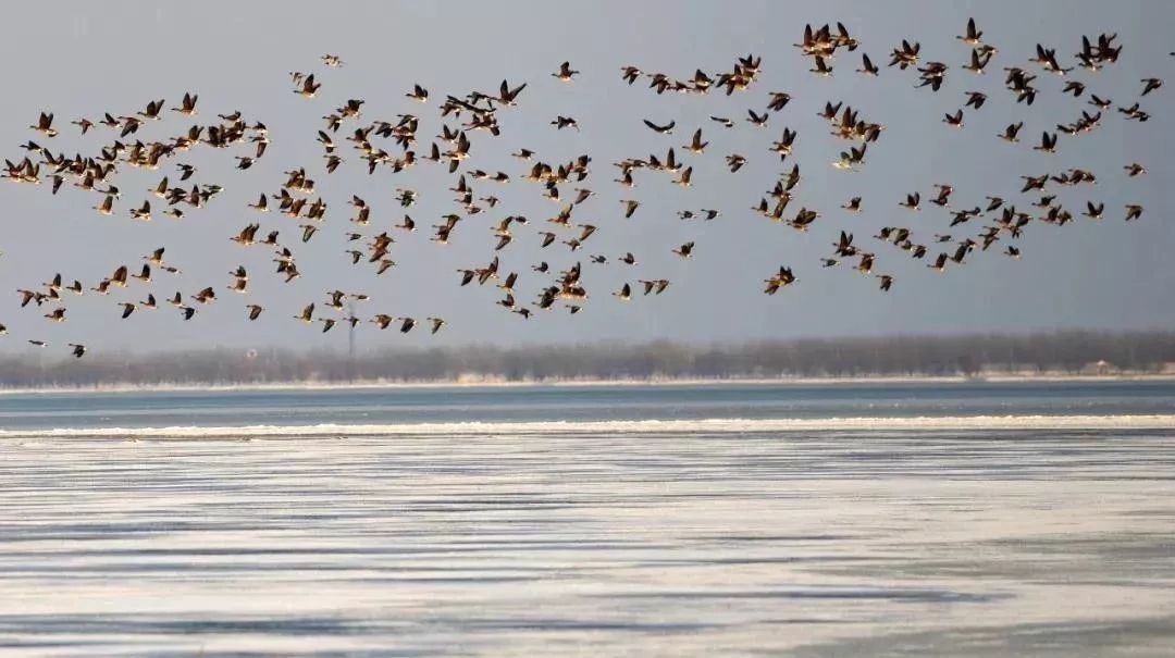 这些地方颜值逆天，却被土到掉渣的名字坑惨了