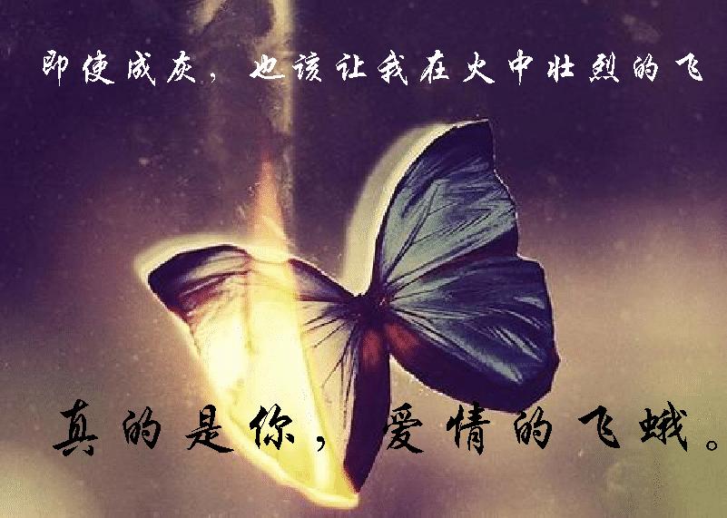 秦汉和林青霞吻戏视频,秦汉林青霞最后再见面