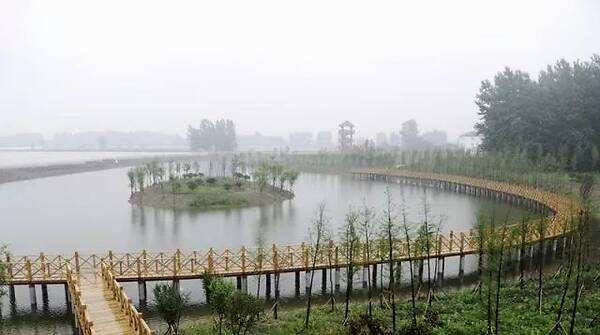 安徽临泉县宋集镇有多少人口,阜阳临泉县人口2020年总人数