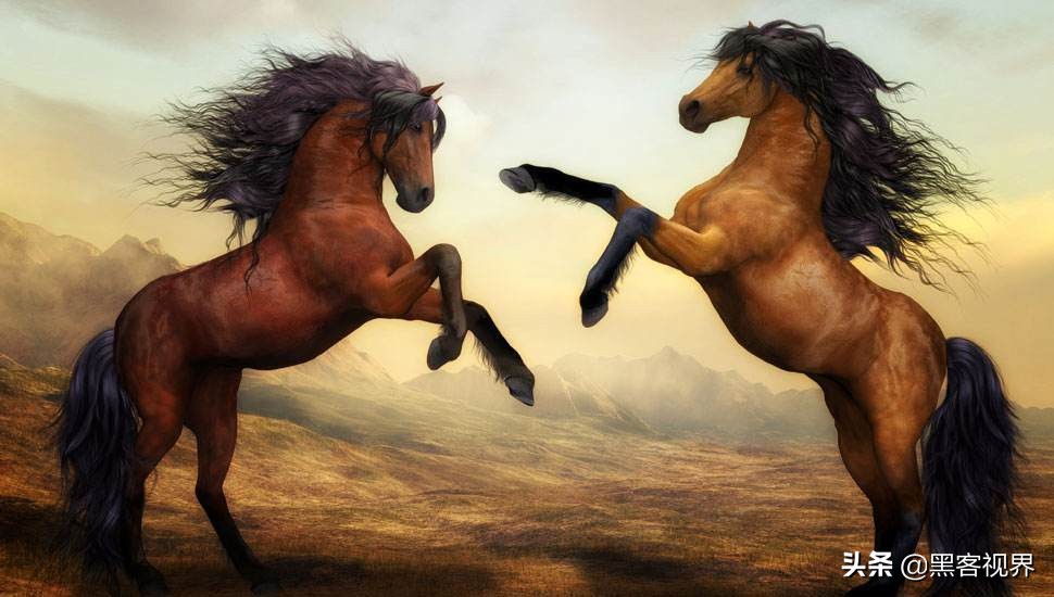 双重暴击！恶意文件同时传播Revenge和WSH远控木马