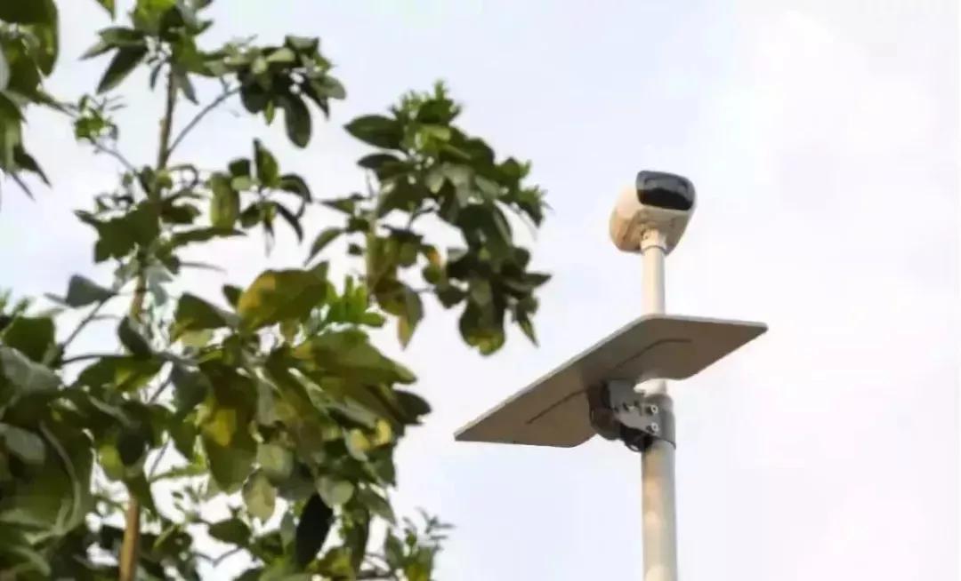 超拼视频购丨直播黑科技，90后“新农人”这样玩转果园